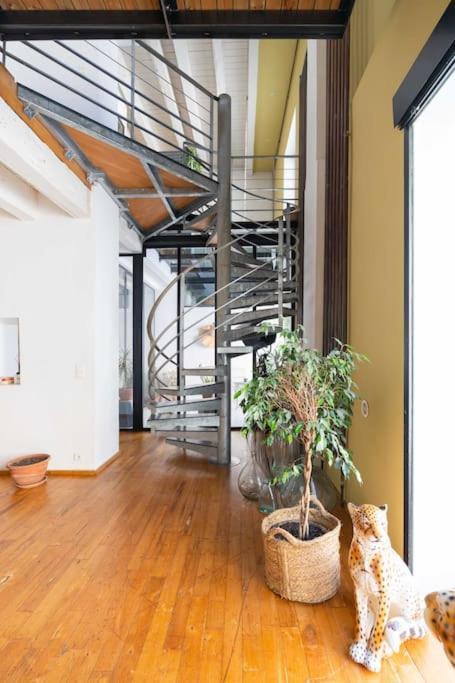 Le Loft Du Vieux-Port - St Victor Appartement Marseilles Buitenkant foto