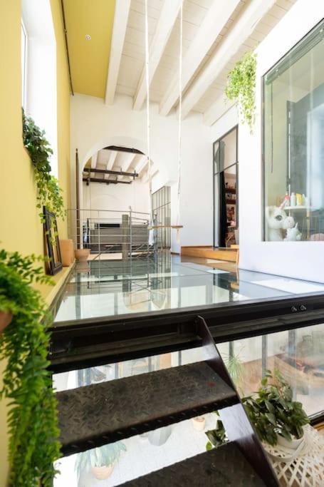 Le Loft Du Vieux-Port - St Victor Appartement Marseilles Buitenkant foto